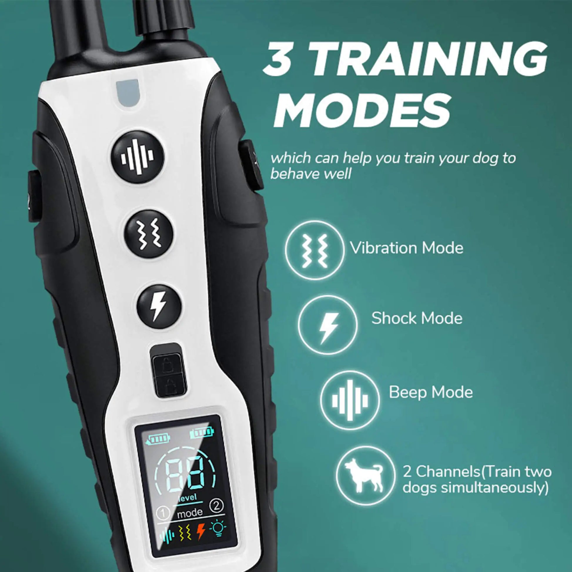 dog collar training