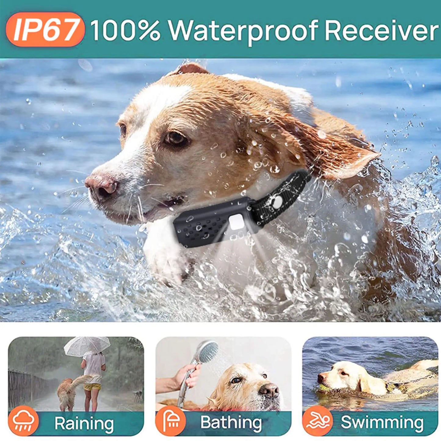 dog trainer collar